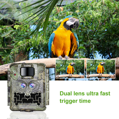 DC12V ডুয়াল লেন্স 1080P ওয়াইল্ডলাইফ ট্রেল ক্যামেরা 13MP CMOS নো গ্লো ক্যাম