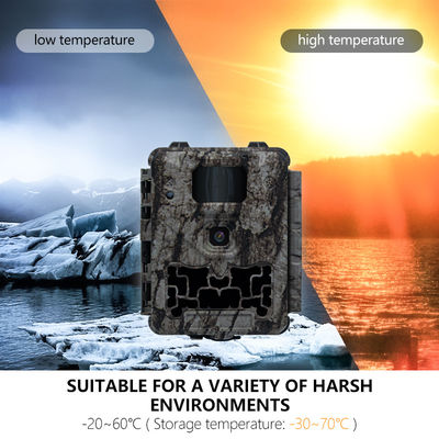 স্বয়ংক্রিয় আইআর-কাট-অপসারণ এবং বন্যজীবনের স্পষ্ট ও বিস্তারিত চিত্রগুলির জন্য 450 মিমি মাইক্রো লেন্স সমর্থন সহ পেশাদার শিকার ক্যামেরা