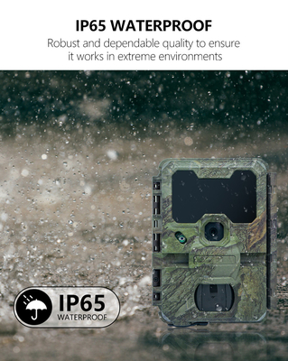 ওয়াইফাই হান্টিং ক্যামেরা KW866 জলরোধী IP67 OEM/ODM 512GB পর্যন্ত স্টোরেজ এসডি মেমরি কার্ড 32MP 4K বন্যপ্রাণী ক্যামেরা