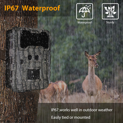 আউটডোর শিকার ক্যামেরা KW696 ডুয়াল-লেন্স 30MP ওয়াটারপ্রুফ আইপি 67 1080p নাইট ভিশন 512 গিগাবাইট পর্যন্ত স্টোরেজ নো-গ্লো ট্রেইল ক্যামেরা