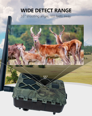 2024 সর্বশেষতম 4G ওয়্যারলেস ট্রায়াল ক্যামেরা OEM/ODM KW886 24MP 0.1s ট্রিগার 120ft নাইট রেঞ্জ সিম কার্ডে বন্যপ্রাণী ক্যামেরা