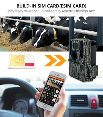 হান্টিং অ্যান্ড ট্রেইল ক্যামেরা সৌর প্যানেল 4 জি ওয়্যারলেস ক্যামেরা KW897 ডুয়াল অ্যান্টেনা সহ 100 ফুট নাইট রেঞ্জ 36 এমপি 2 কে ভিডিও 30fps এ