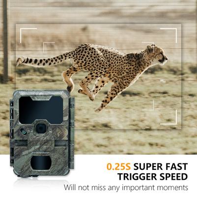 হান্টিং ক্যামেরা KW788 জলরোধী আইপি 65 4 কে ভিডিও 30fps 32MP 0.25s ট্রিগার গতি পর্যন্ত 512GB স্টোরেজ বন্যপ্রাণী গবেষণার জন্য