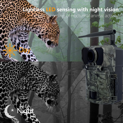 APP 2K FHD ভিডিও সহ 4G শিকার ট্রেইল ক্যামেরা KW895 30MP চিত্র বন্যপ্রাণী গবেষণার জন্য 512GB পর্যন্ত স্টোরেজ পর্যন্ত জলরোধী IP67