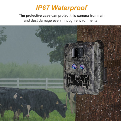 ডুয়াল লেন্সের সাথে লুকানো ক্যামেরা KW591 জলরোধী IP67 30MP 1080P 0.4s বন্যপ্রাণী গবেষণার জন্য 512 গিগাবাইট পর্যন্ত নাইট ভিজন ট্রিগার গতি