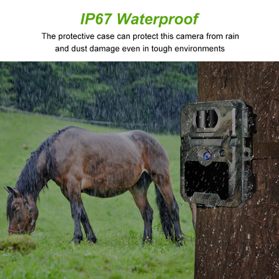 শিকার ক্যামেরা KW571 সঙ্গে 30MP 1080P জলরোধী IP67 0.25s বন্যপ্রাণী শিকার জন্য 512GB পর্যন্ত স্টোরেজ ট্রিগার
