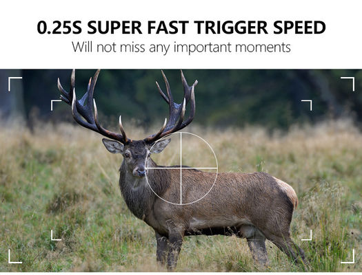 জলরোধী IP67 ওয়াইফাই ব্লুটুথ ক্যামেরা