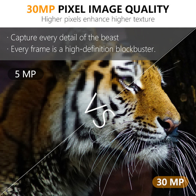 হান্টিং ক্যামেরা KW591 ডুয়াল সেন্সর 30MP 1080P জলরোধী IP67 0.4s প্রতিক্রিয়া গতি নাইট ভিজন 512GB পর্যন্ত সঞ্চয়স্থান বন্যপ্রাণী ক্যামেরা