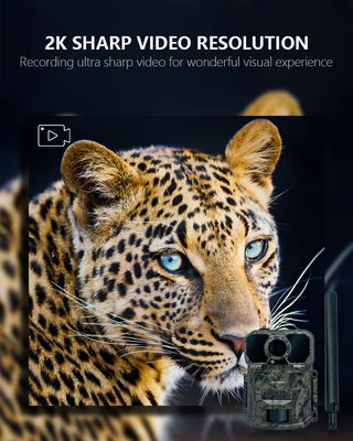 আইপি৬৫ ওয়াটারপ্রুফ ৪জি ট্রেইল ক্যামেরা