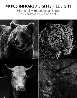 4G ট্রেইল ক্যামেরার সাথে অতুলনীয় কর্মক্ষমতার অভিজ্ঞতা, বন্যজীবন পর্যবেক্ষণের জন্য উপযুক্ত সমাধান