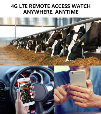 4G ট্রেইল ক্যামেরার সাথে অতুলনীয় কর্মক্ষমতার অভিজ্ঞতা, বন্যজীবন পর্যবেক্ষণের জন্য উপযুক্ত সমাধান