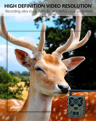 4G ট্রেইল ক্যামেরার সাথে অতুলনীয় কর্মক্ষমতার অভিজ্ঞতা, বন্যজীবন পর্যবেক্ষণের জন্য উপযুক্ত সমাধান