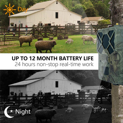 4G ট্রেইল ক্যামেরার সাথে অতুলনীয় কর্মক্ষমতার অভিজ্ঞতা, বন্যজীবন পর্যবেক্ষণের জন্য উপযুক্ত সমাধান