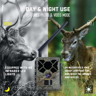 রিমোট কন্ট্রোলড ৪জি হান্টিং ক্যামেরা KW886, ১০৮০p ভিডিও ক্ষমতা এবং ১২০ ফুট রাতের দৃশ্যমানতা সহ