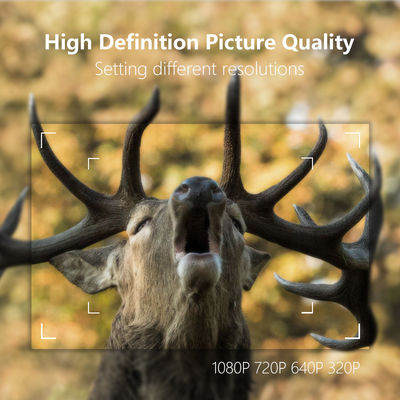 940nm Led Hunting Trail Camera HD 30MP 180mA প্রোগ্রামেবল