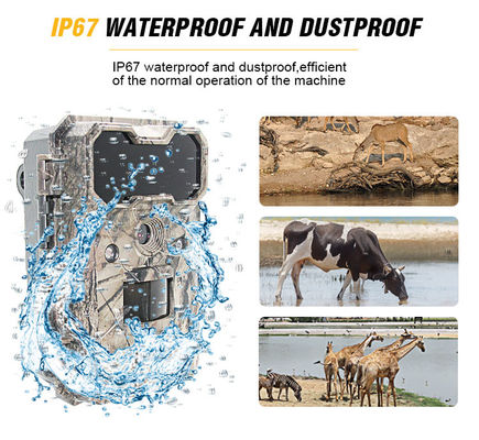 গতি সক্রিয় বন্যপ্রাণী ক্যামেরা