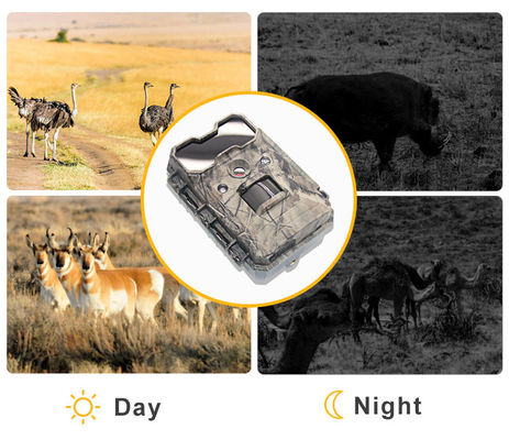গতি সক্রিয় বন্যপ্রাণী ক্যামেরা