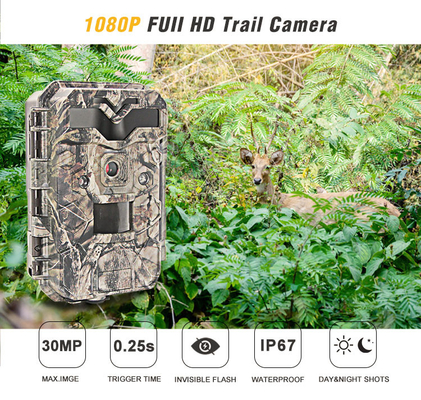 2.4 ইঞ্চি স্ক্রীন এইচডি হান্টিং ক্যামেরা IR LED ফুল HD 1080P ট্রেল হান্টিং ক্যামেরা