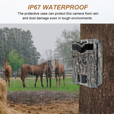 নতুন KW698A 4K ট্রেইল ক্যামেরা ডুয়াল সেন্সর IP67 নো গ্লো AA Alkaine ব্যাটারি ওয়াইল্ডলাইফ আউটডোর হান্টিং ক্যামেরা