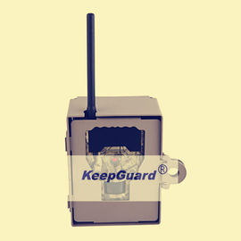 KG870 আউটডোর ডিজিটাল লাইভ ওয়াইল্ডলাইফ ক্যামেরা 12MP 4000X3000 ছবির সাইজ